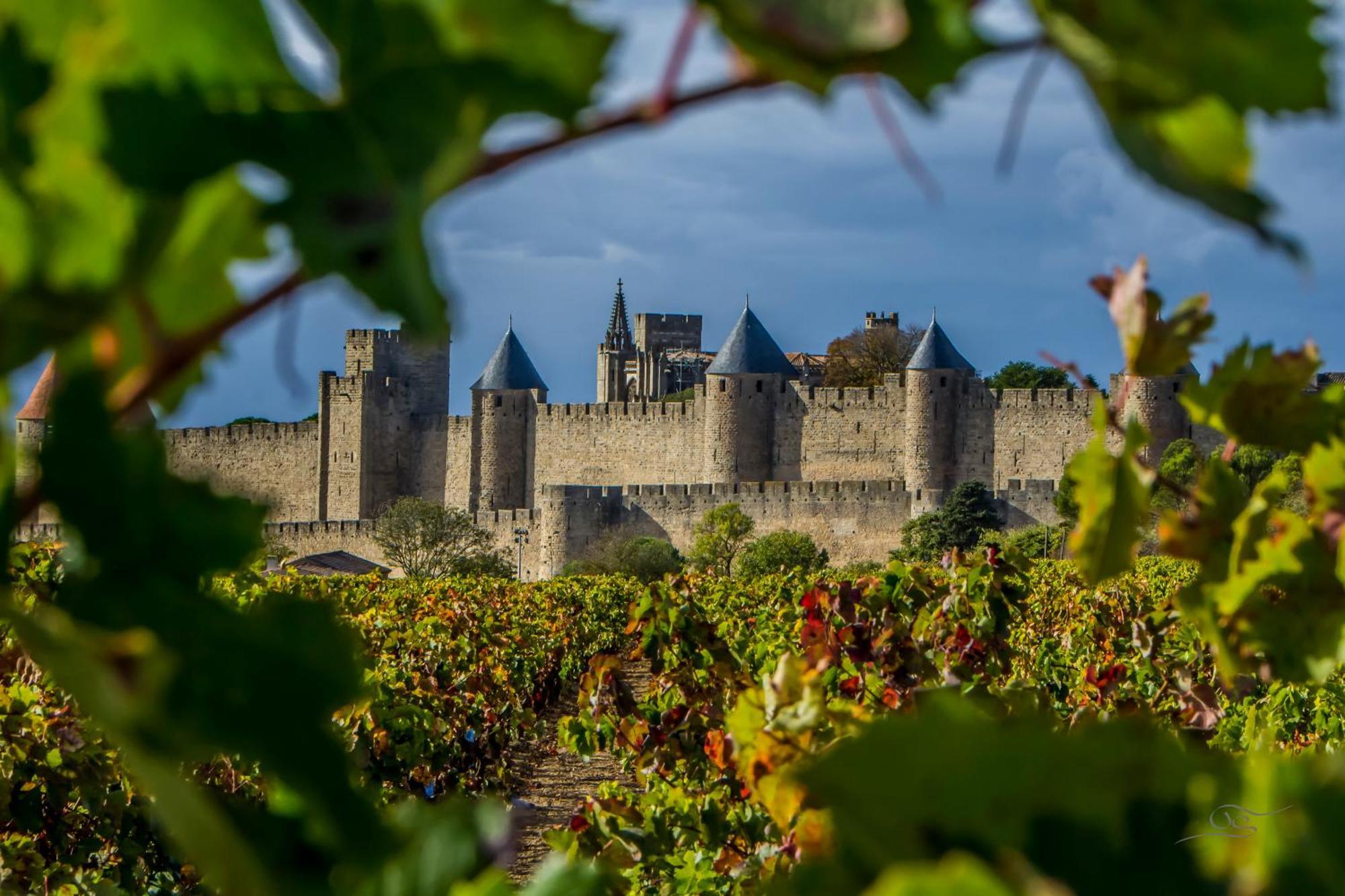 Maison Cantalauze - Pays Cathare - Carcassonne - Canal Du Midi Trèbes Εξωτερικό φωτογραφία